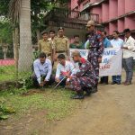 Plantation prog